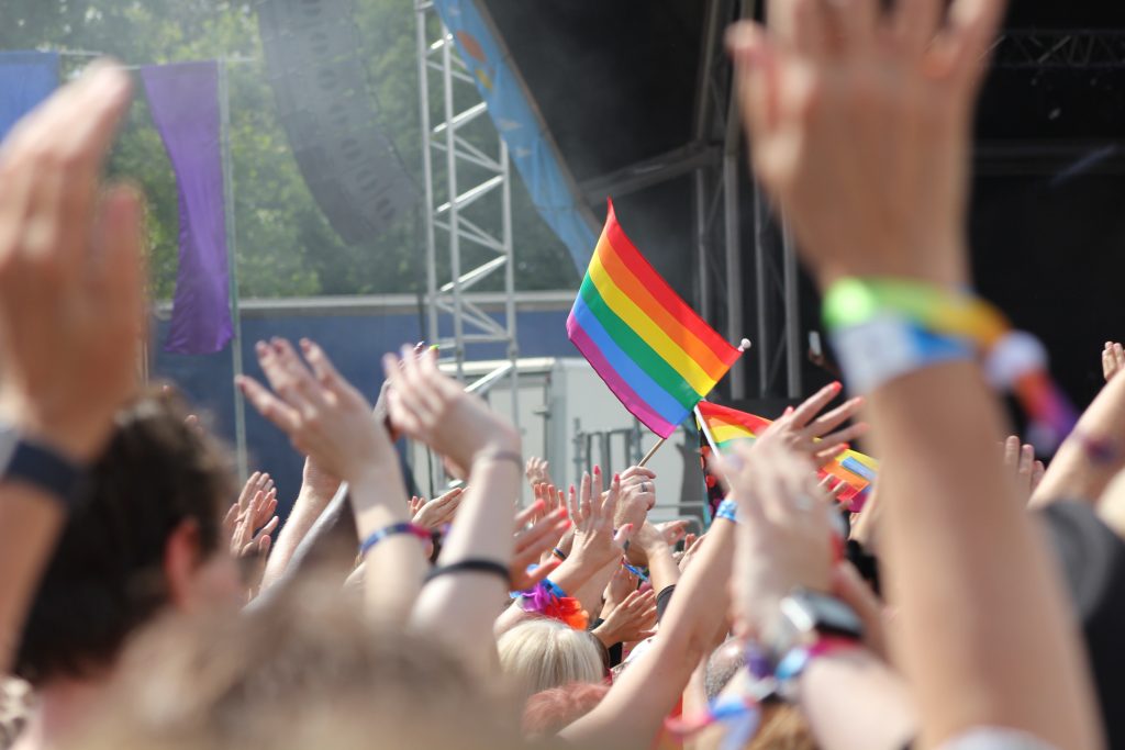 LGBTQ+ flags, view from crowd at a festival